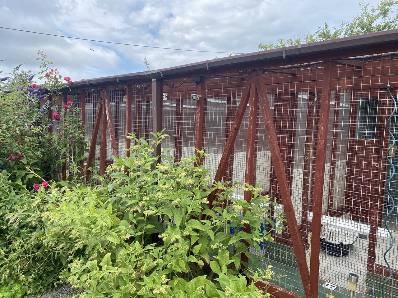 Howlish Cattery